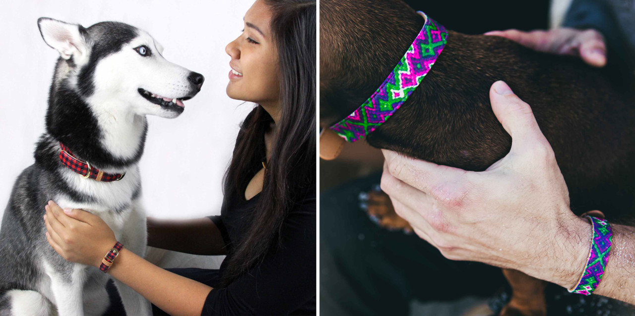 FriendshipCollar_matching_dog_collar_bracelet_03