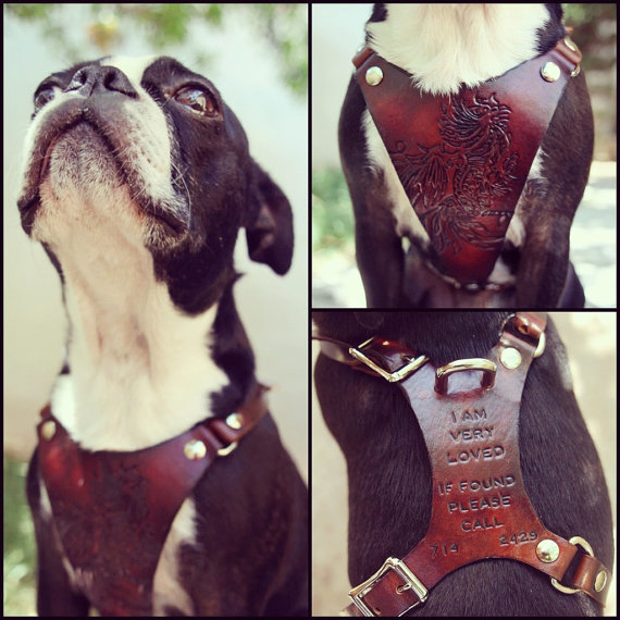 質感がおしゃれすぎる ハンドメイドの革製ハーネス Leather Dog Harness Inu Magazine イヌ マガジン
