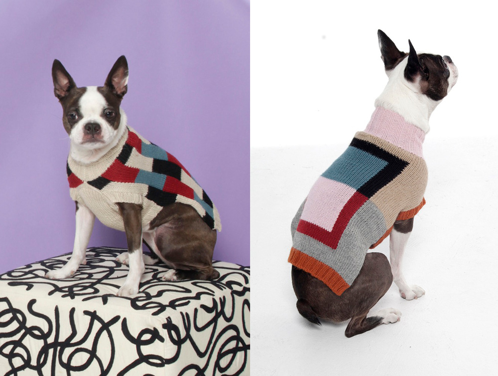 アルパカの毛100 とってもおしゃれな犬用セーター Dusen Dusen Inu Magazine イヌ マガジン