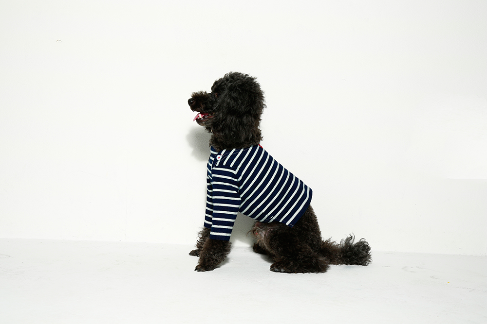 アトリエgg BEACH STANDARD SWEAT VEST 犬服 アトリエgg BEACH