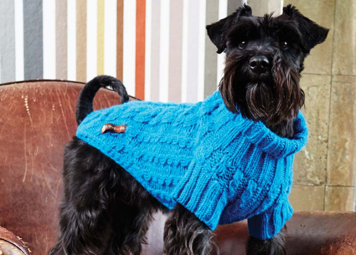 愛犬の体をすっぽり包み込む、手編みの上質な犬用セーター「Wilmot Dog
