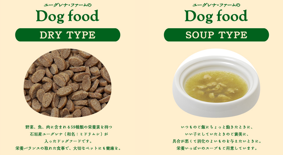 dogfood
