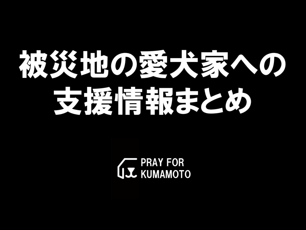 熊本地震 被災地のペット 愛犬 猫 家への支援情報まとめ 寄付 ボランティア 物資支援 Inu Magazine イヌ マガジン