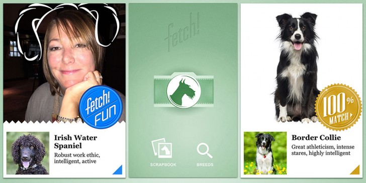 あなたは何犬 顔写真から似た犬種を教えてくれるスマホアプリ Fetch が楽しすぎ Inu Magazine イヌ マガジン