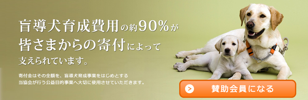 日本盲導犬協会より